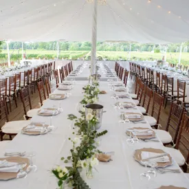 Party Linens Shutterstock 1535210186